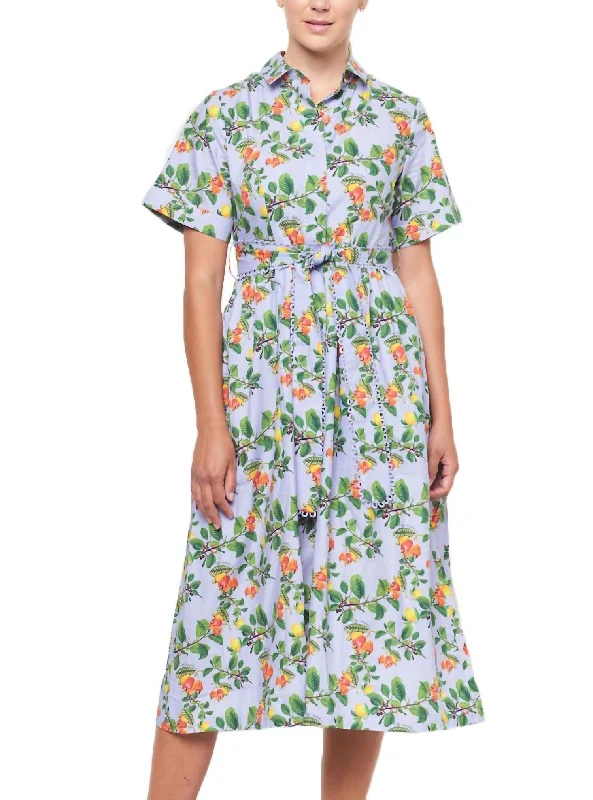 women's curve-hugging dressesAmelia Print Midi Shirtdress In Blue Multi